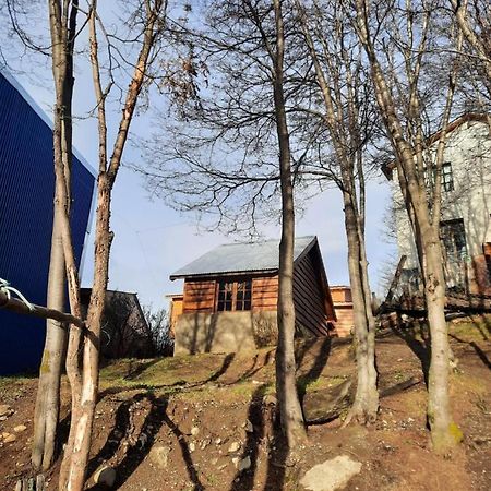 Cabana Los Morros Ushuaia Eksteriør bilde